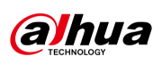dahua