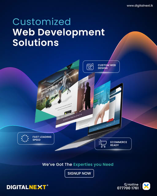 Custom Web Development - We Have the Expertise You Need